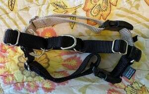 NWOT PetSafe Easy Walk Harness Black/Silver Nylon Dog Harness, small